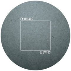 A1. Ekkohaus - Squared
