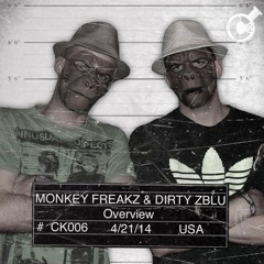 Overview feat. Dirty Zblu (Original Mix)