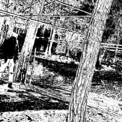 01 Latrine - 24 - 7 Syndrom