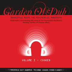 Lost In Dub (Cooked): Snakestyle Meets King Tubby On The Trans-Europe Express
