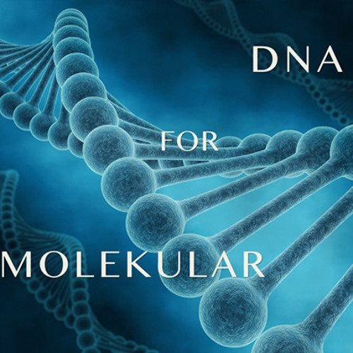 Waves Break Passacaglia - Demo Snapshot Bank DNA For Molekular