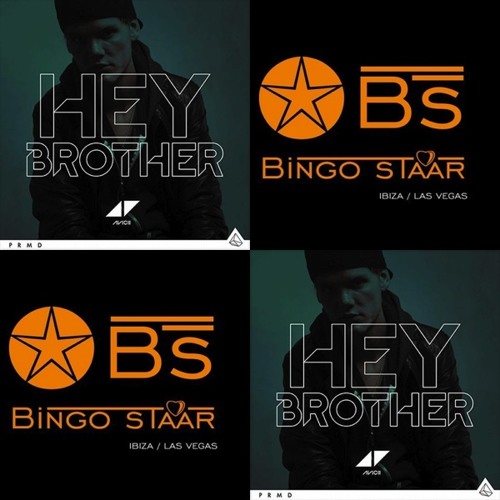 Avicii vs Bingo Staar,Lush & Simon - Hey Dust Bowl Children (maaakun Mashup)