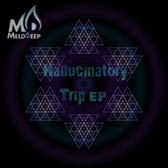 01. MeloDeep - The 3 Worlds On Acid [2012]
