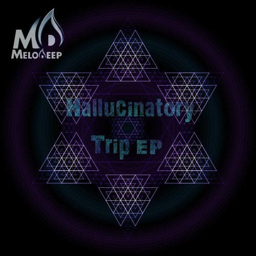 01. MeloDeep - The 3 Worlds On Acid [2012]