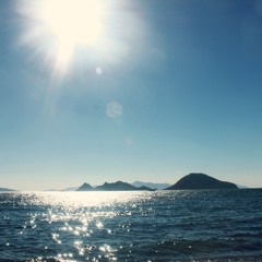 Bambi - Sheltered Eyes