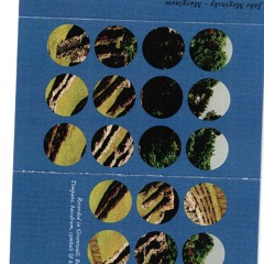 Jake Meginsky - Marginem -Side A