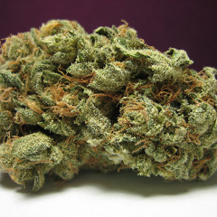 Sorft (La Bota) - Green