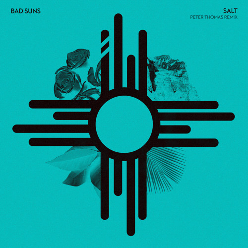 Bad Suns - Salt (Peter Thomas Remix)