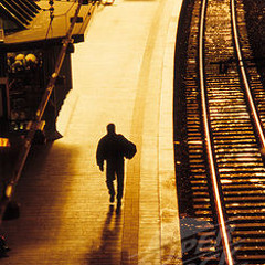 Josh B ( Everything is Screwed )