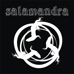 Salamandra - Amor Fisura