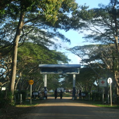 Fkanaua Kihe Kolisi Ko Tupou