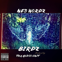 Birdz (Produced By Tha Audio Unit)