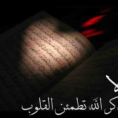 الشيخ " السيد سعيد " ـ يوسف ج1