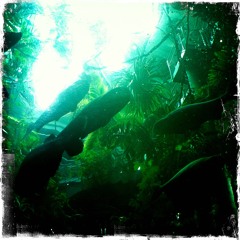 Simple Plan (Modern 2014)