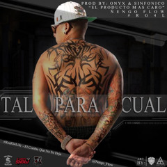 Sentimiento De Un Ganster   / Neñgo♡