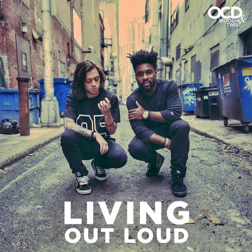 moosh and twist living out loud