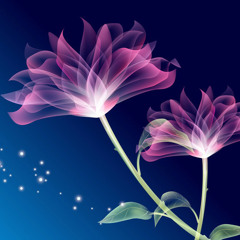 Heartless Soniye Ft Kk[1]