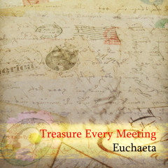 Treasure Every Meeting
