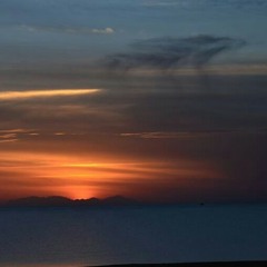قفص الجسد - سامح شاهين