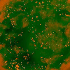 2356235.923872.738273.,AEF.763