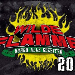 Verdammte Welt (Frei.Wild) für Wilde Flamme 2014