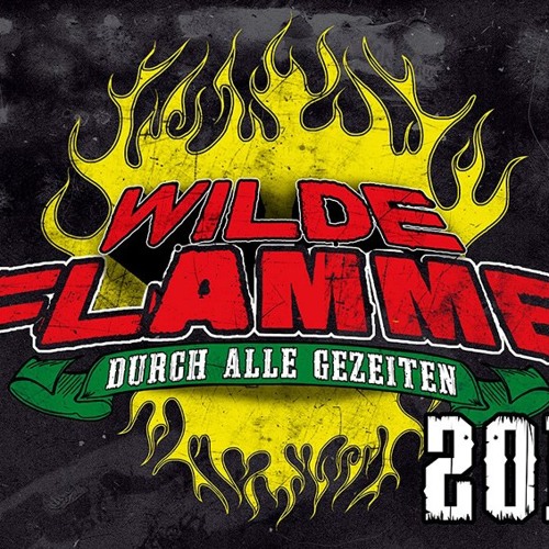 Verdammte Welt (Frei.Wild) für Wilde Flamme 2014