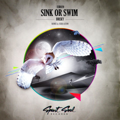 Breky - Sink Or Swim (Sebb Aston Remix) [SSR020]