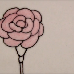 カーネーション(carnation)
