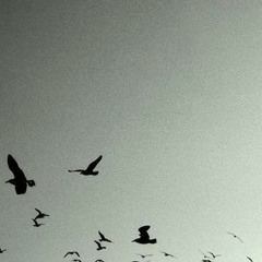 Little Impression III.