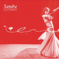 Sandra Electronics - Protection Now (Demo)