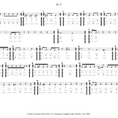 Terry Riley - In C