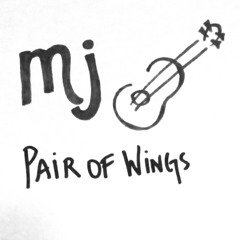 Pair Of Wings