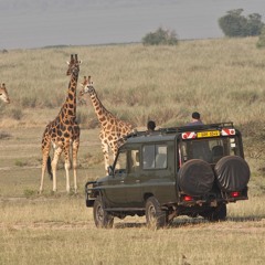 African Safari