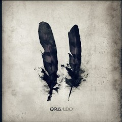 Larrge - Stop Motion  [ Icarus Audio ]