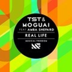Tiesto & Moguai feat. Amba Shepherd - ID