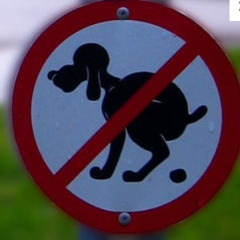 Caca de chien pipi de chat