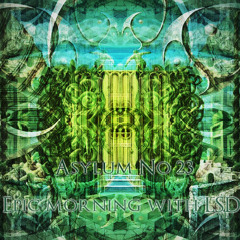 Epic morning with LsD // Asylum no 23 // mOte rmX