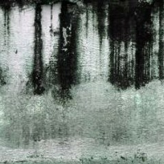 The Music feat. Antist4r