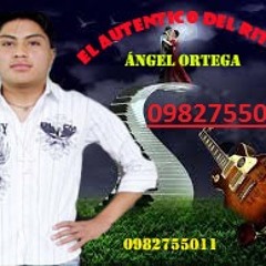 Angel Ortega