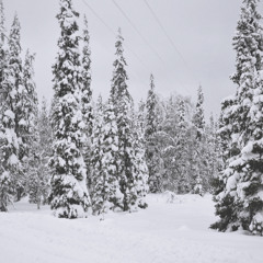 Can't Help Falling In Love- Elvis Presley