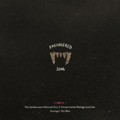 Endangered Song - Portugal The Man