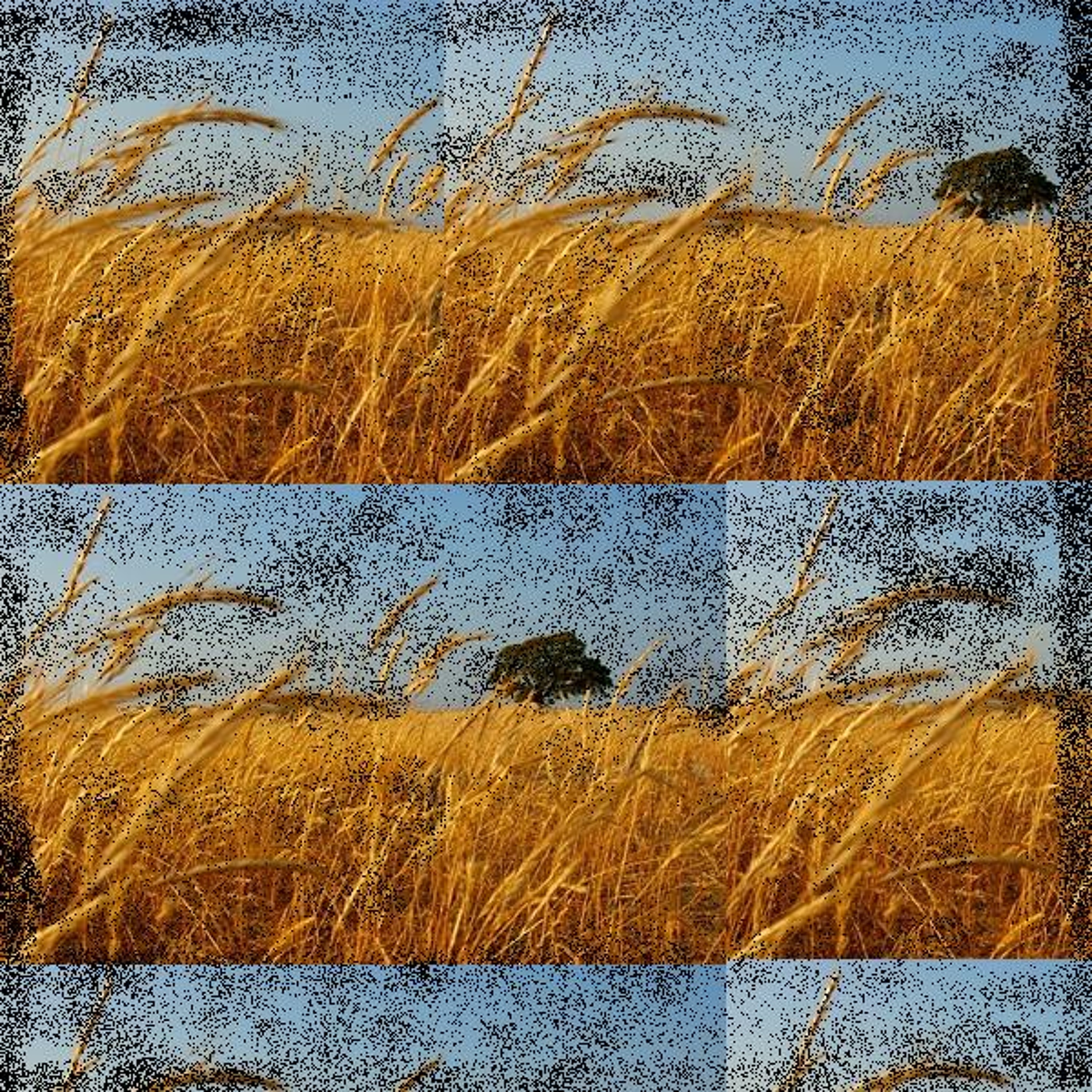 Summertime (my version) episode artwork