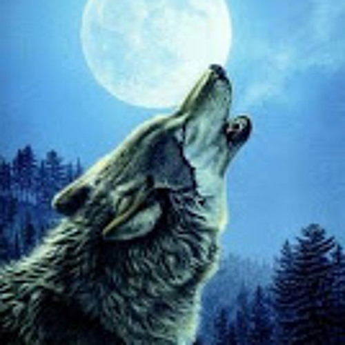 Wolf Music by Ohp and Kolb