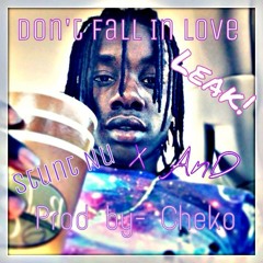 Dont Fall In Love (LEAK!/Preview)- Stunt Nu X AnD( Prod. by- Cheko)