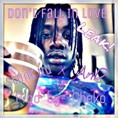 Dont Fall In Love (LEAK!/Preview)- Stunt Nu X AnD( Prod. by- Cheko)