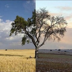 Nimeni Altu' -  Doua Anotimpuri