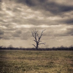 Through Thick and Thin