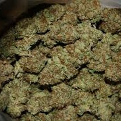 What Would You Rather Do?