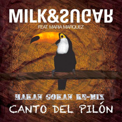 Milk & Sugar ft. Maria Marquez - Canto Del Pilon (Hakan Gökan Re-Mix)