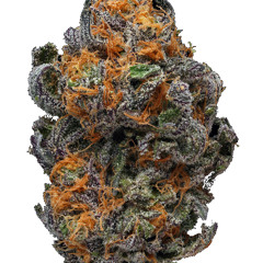 psy island yoshi meme